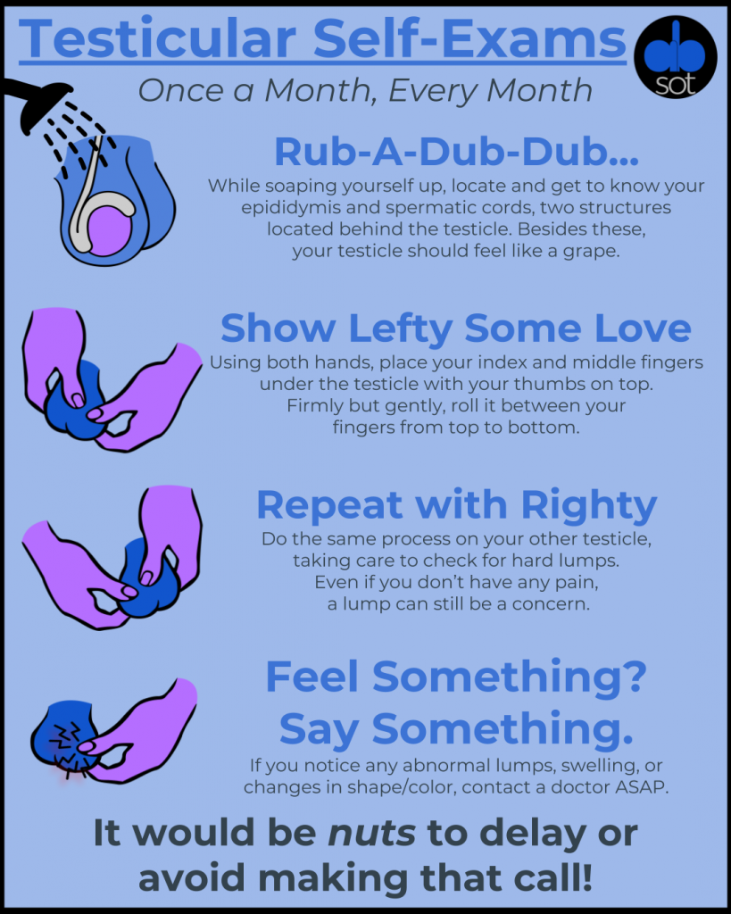 Infographic on how to do a testicular self exam